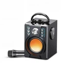 Велики преносни звучник са микрофоном